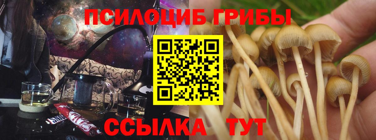 Галлюциногенные грибы мицелий  купить наркотик  Пыть-Ях  Галлюциногенные грибы ЛСД  Вход с VPN 