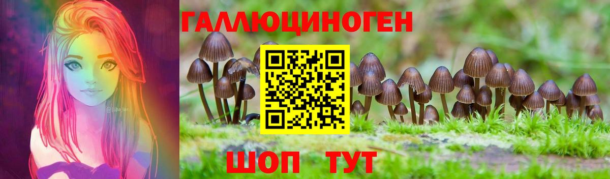 Псилоцибиновые грибы Psilocybe Пыть-Ях